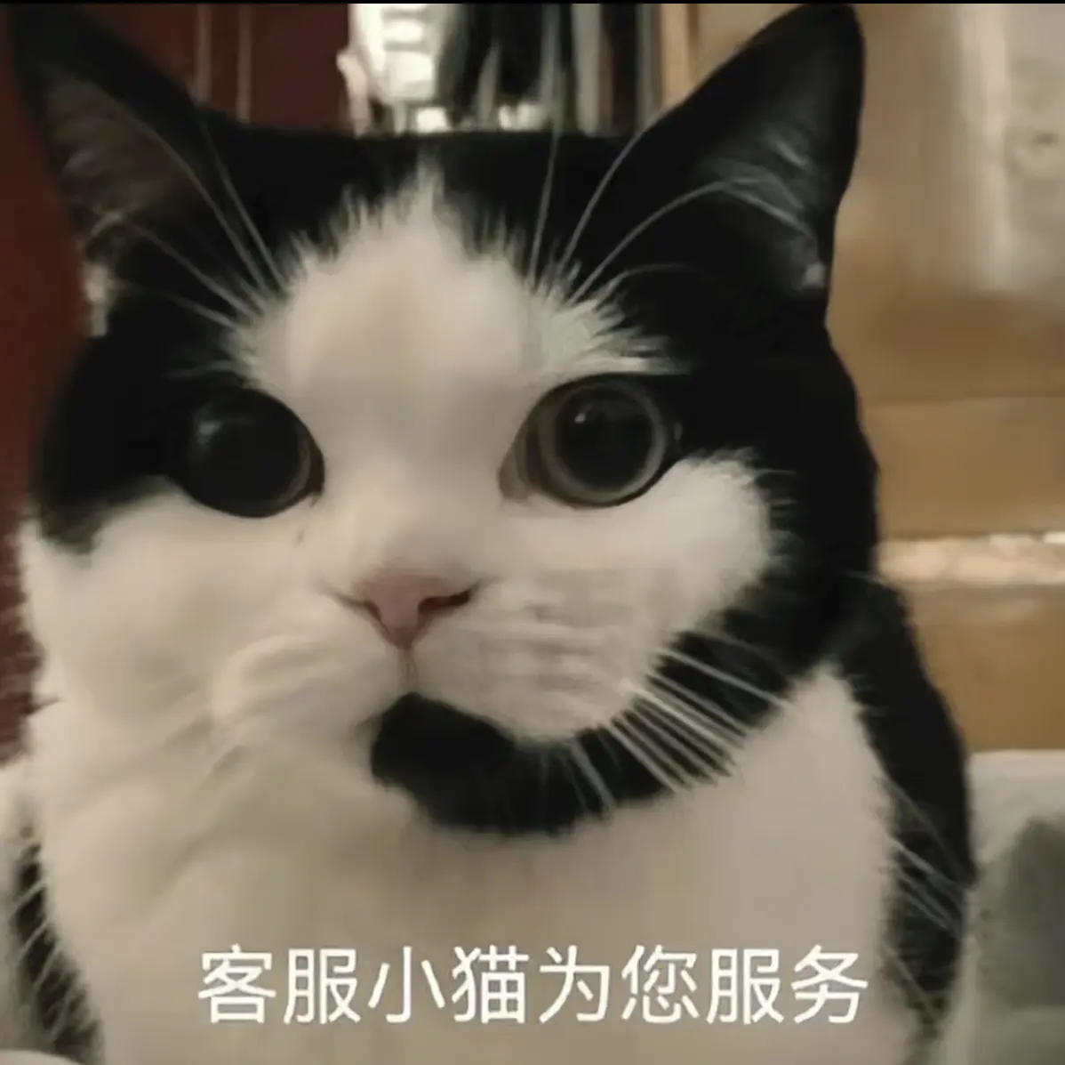 小橘子